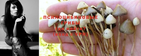 дмт Волосово