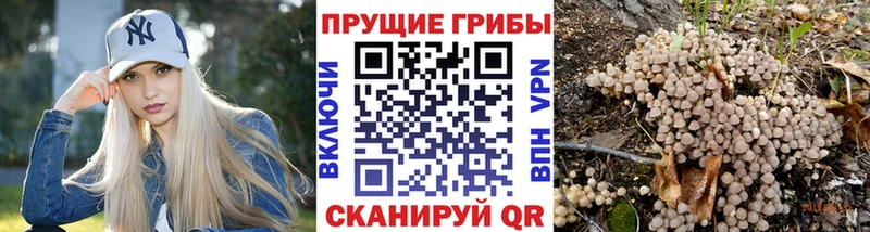 Купить  Сорск  Псилоцибиновые грибы MAGIC MUSHROOMS 